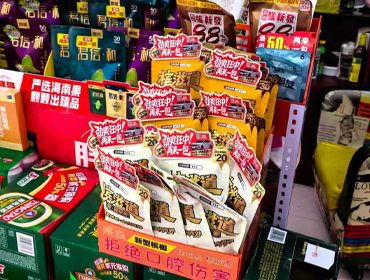 陈列照展示八